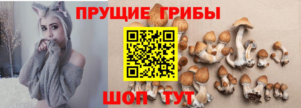 Джанкой  Псилоцибиновые грибы GOLDEN TEACHER  Вход с VPN 